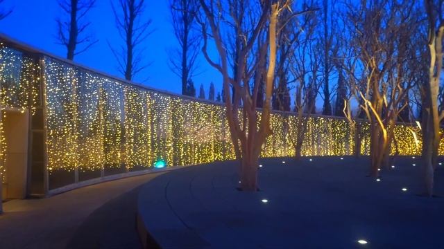 Краснодар 08.01.2023 Парк Галицкого смотреть онлайн