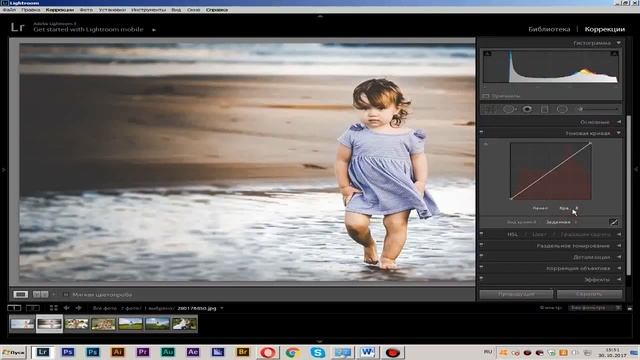 Пресеты lightroom, пресеты лайтрум, где скачать пресеты lightroom, лайтрум смотреть онлайн
