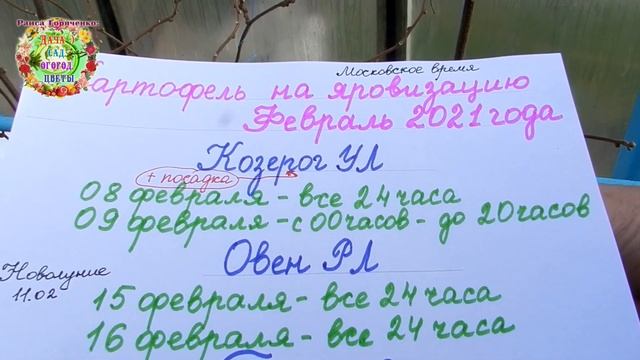 Посадка и яровизация картофеля в феврале 2021 года. Агрогороскоп для картофеля на февраль 2021 смотреть онлайн