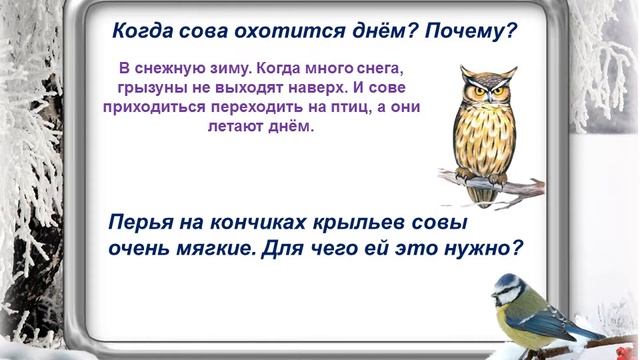 Познавательный час. "В гостях у зимующих птиц". смотреть онлайн