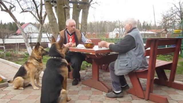 2016 04 30  Дача    9