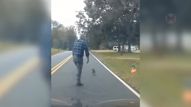 Собака Спасает Жизнь Ребенку! Животные Герои Снятые на Камеру