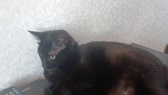 Девочка смотреть онлайн