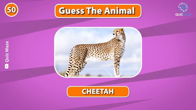 Guess 100 Animals in 3 Seconds 😺🐢 смотреть онлайн