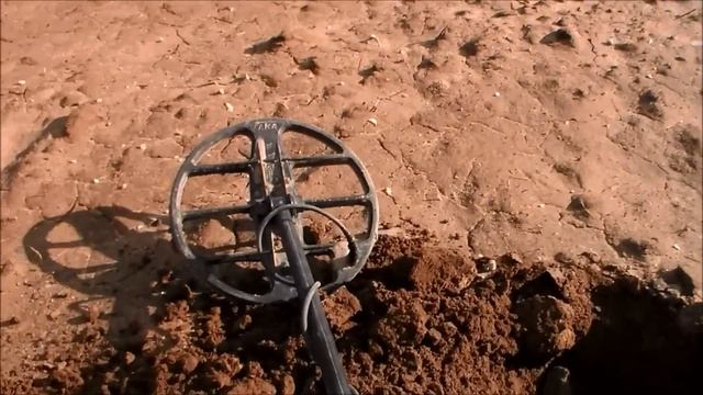 Весенний поиск монет 2015 Одиночный выезд Металлоискатель Беркут 5