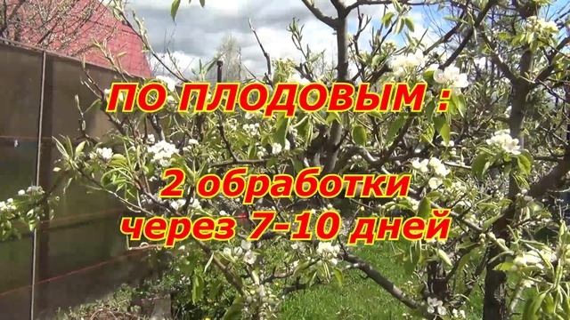 ХОРУС в МАЕ. ГЛАВНЫЙ ЭТАП ЗАЩИТЫ РАСТЕНИЙ смотреть онлайн