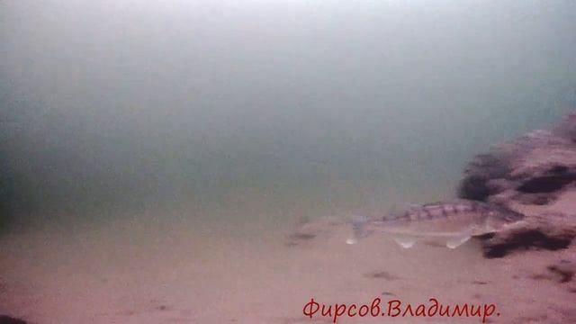 Другой мир 2. смотреть онлайн