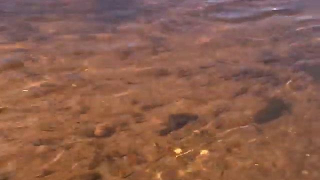 MOV00F рыбные места на реке Юг смотреть онлайн