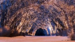 ! 11 ЧАСОВ !! НОВОГОДНЯЯ ЗАСТАВКА ДЛЯ ТВ И МОНИТОРА НОВЫЙ ГОД СНЕГ ГИРЛЯНДА ЛЕС ДОРОГА