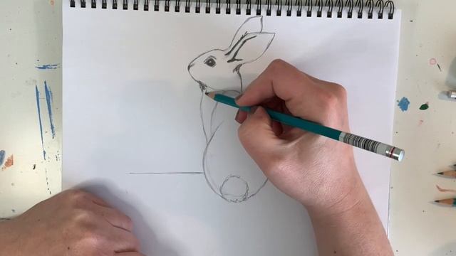 SKETCH WITH ME: How to Draw a Bunny / Drawing Tips for Beginners / Learn to Draw смотреть онлайн
