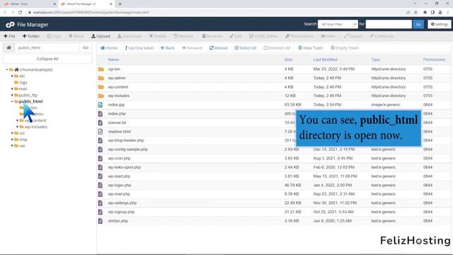 How to create a new file or folder in cPanel File Manager with FelizHosting смотреть онлайн