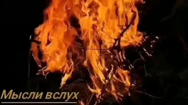 Севка Ад понятно,как ТВ доводила родителей.Надя хитрая,а ТВ еще хитрее.Надя преданная и благодарная смотреть онлайн
