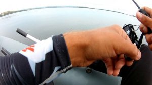 Ловлю окуня на микроджиг, но тут приплыл он! Dayo Magestic 198 см. 0.5-5 гр. приносит новый трофей.