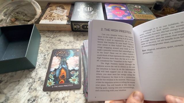 I DIDN’T KNOW how EPIC they are! 5 #SneakAttackTarot (and oracle!) decks that stole my heart! ??? смотреть онлайн