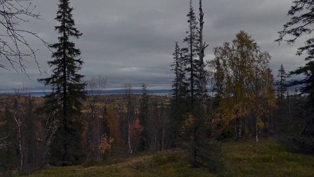 Пеший туризм по Мурманской области. Трекинговая тропа, сопки и озера смотреть онлайн