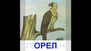 Презентация для детей - Птицы