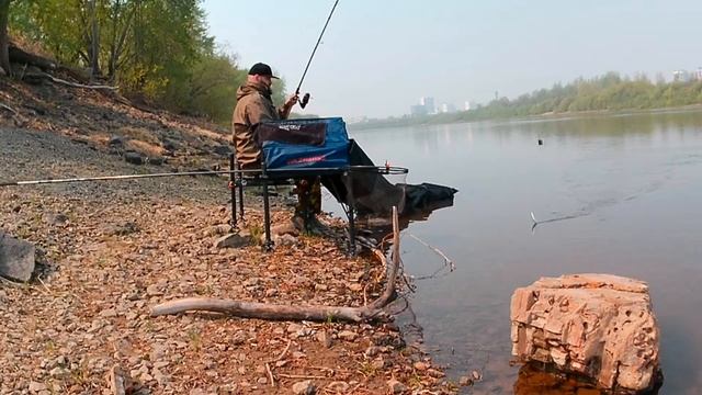 Кратко о рыбалке. Бешеный язь. Весенние поклёвки.Рыбалка на реке Тура Тюмень. смотреть онлайн