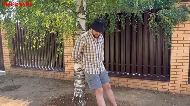 Сказка "Репка" для Квеста IBS (Трое в кубе) смотреть онлайн