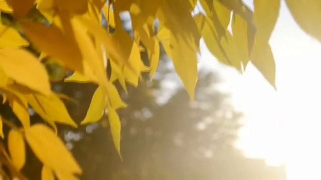 Sequence 01 смотреть онлайн