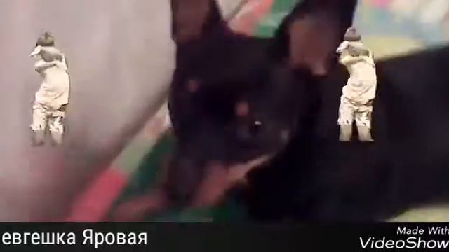 Чара поет время и стекло смотреть онлайн