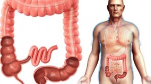 Даже одна ХУРМА вызывает НЕОБРАТИМЫЕ ПРОЦЕССЫ. ХУРМА польза и вред