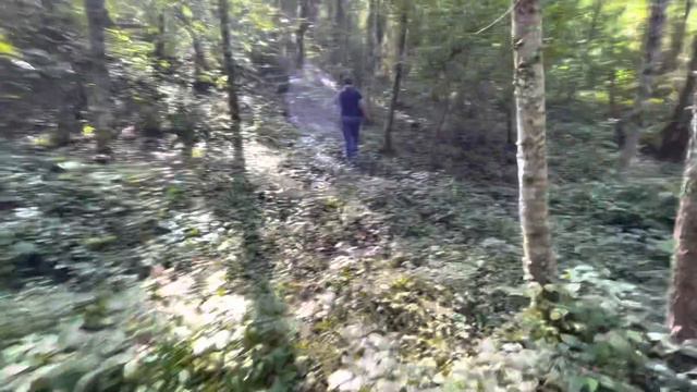Нашёл участок 10 соток в лесу, неподалёку от центра Сочи. СТ Озерный. смотреть онлайн