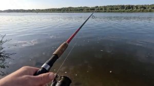 Рыбалка на Оке! Начало сентября! КЛЮЁТ ОДНА ЗА ОДНОЙ!