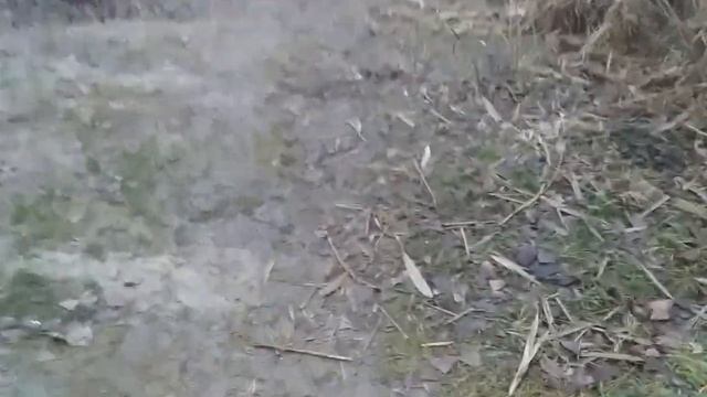 Киев Сегодня ? 27 января 2023 Как мы сейчас живем в Киеве? Киев сейчас Киев онлайн камеры