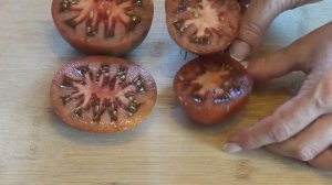 Томат Мармеладная лампочка