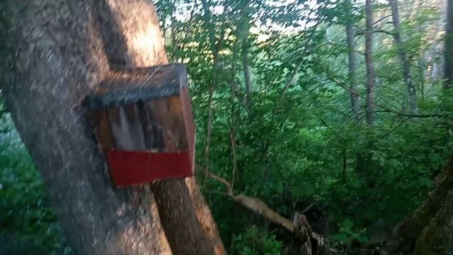 YouCut_20230612_201245322.mp4 смотреть онлайн