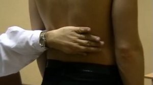 Перкуссия почек