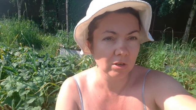 ВЛОГ: Мы вернулись/Как выжили томаты и огурцы без полива в жару смотреть онлайн
