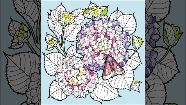 Magic Color I Would Love To Give You A Beautiful Hydrangea. It’s One Of My Favourite Flowers. смотреть онлайн