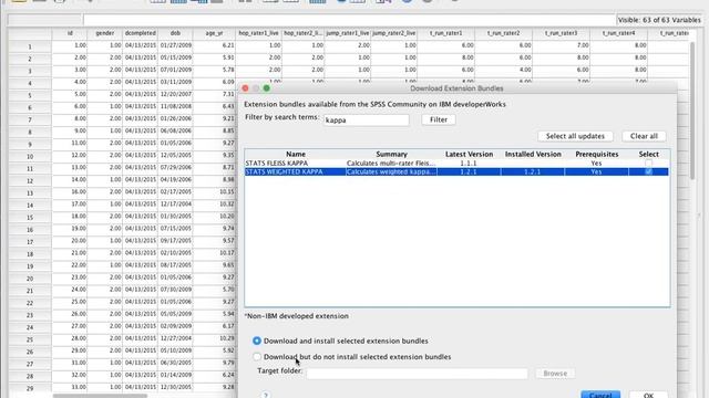 Installer Python Bundles in SPSS 23 смотреть онлайн