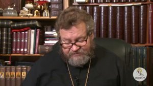 Евангелие от Матфея. Глава 8. Протоиерей Олег Стеняев. Толкование Библии. Толков