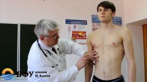 Пропедевтика внутренних болезней | Топографическая перкуссия легких