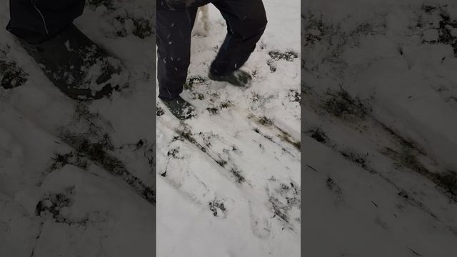 сюрприз, дача...добрый друг верный друг. смотреть онлайн
