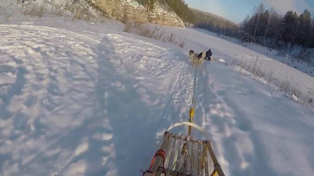 Катание на собачьих упряжках смотреть онлайн