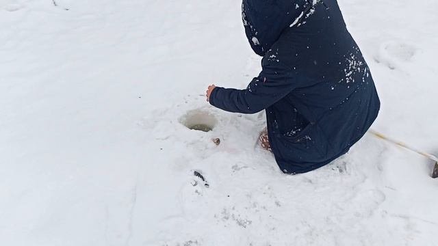Светлые Горы Форель 03.03.2023 смотреть онлайн