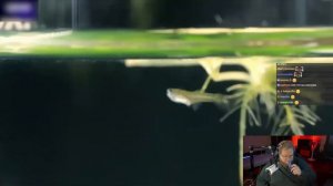 T2X2 СМОТРИТ: АКВАРИУМ ИЗ БУДУЩЕГО - 120 ДНЕЙ СПУСТЯ