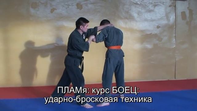 ПЛАМя - сравнение ударов ладонью и кулаком смотреть онлайн