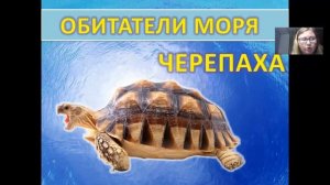 Технология лепка морских обитателей 1 класс Мысутина К  С