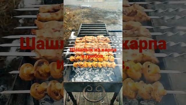 Грибные заметки