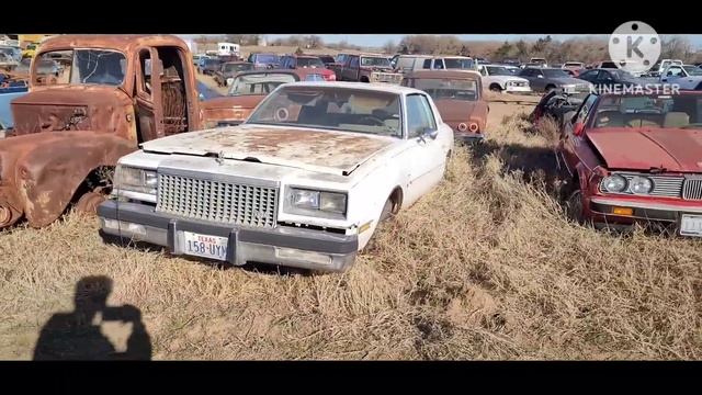 Texas Junkyard Trip! THOUSANDS of Antique Cars  Trucks for parts  projects at Browne Auto Salvage