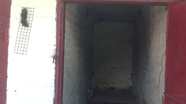 Ласточки залетают и вылетают из гнезда смотреть онлайн