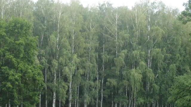 В гостях у графа Бобринского смотреть онлайн