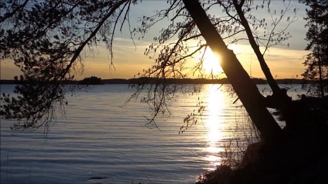 Правда о ладах True Temperament