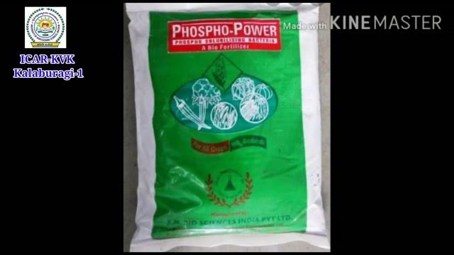 ICAR-KVK Klb-1#Seedtreatment of Pulses by biofertilizers & biofungicides/ದ್ವಿದಳ ಧಾನ್ಯಗಳಲ್ಲಿ ಬೀಜೋಪಚಾ смотреть онлайн