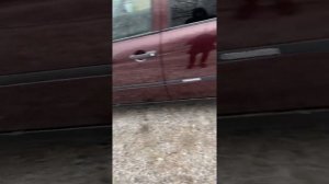 Больные места Лады Гранты, на что стоит обращать внимание.