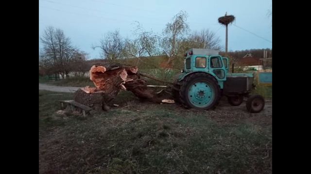 Как мы в селе трактором Т-40 дерево тащили смотреть онлайн